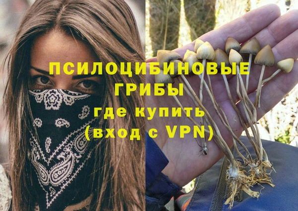 ПСИЛОЦИБИНОВЫЕ ГРИБЫ Мегион