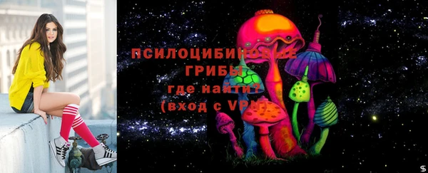а пвп мука Медвежьегорск
